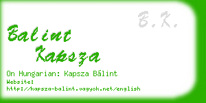balint kapsza business card